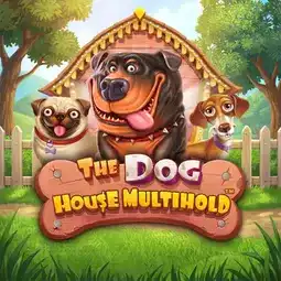 The Dog House Multihold game at PlayZilla Casino for Australia players